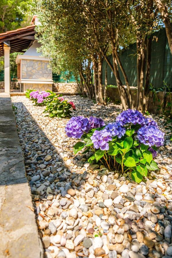 Anda - Kuca Za Odmor Villa Milna  Exterior photo